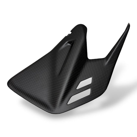 Schwingenschoner Mittelteil Carbon Ducati Panigale V4 Streetfighter V4 2025+