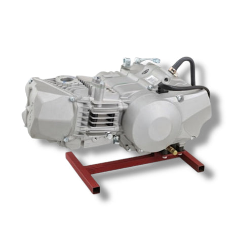 190 DAYTONA ANIMA 190cc 4 Ventiler 4 Gang oder 5 Gang
