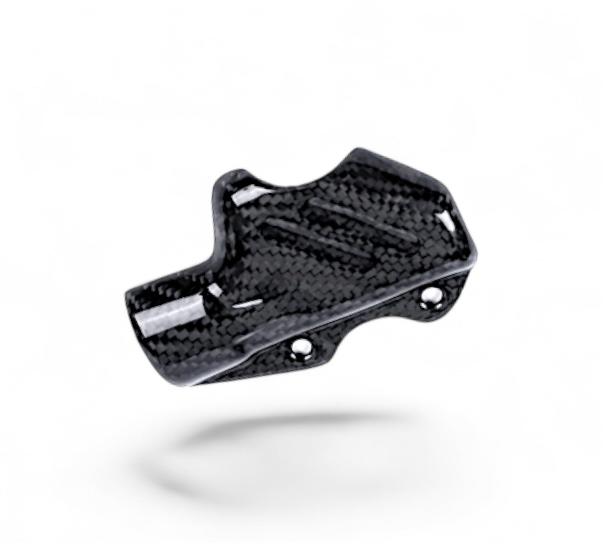 Bremspumpen Abdeckung Carbon Ducati Streetfighter V4 / V4 S 2020-2024