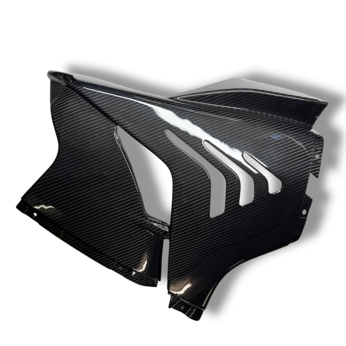 Rennverkleidung Verkleidungsseitenteil Seitenverkleidung Carbon BMW S1000RR M1000RR 2023+ Racing