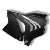 Rennverkleidung Verkleidungsseitenteil Seitenverkleidung Carbon BMW S1000RR M1000RR 2023+ Racing