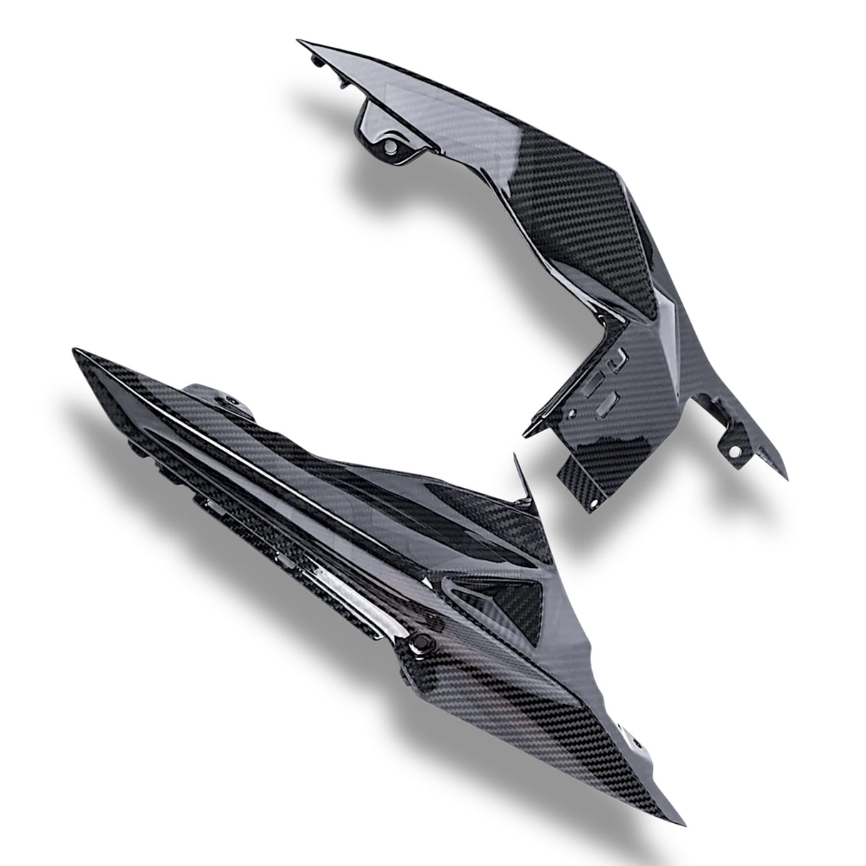 Heckseitenverkleidung Carbon BMW S1000RR S1000R