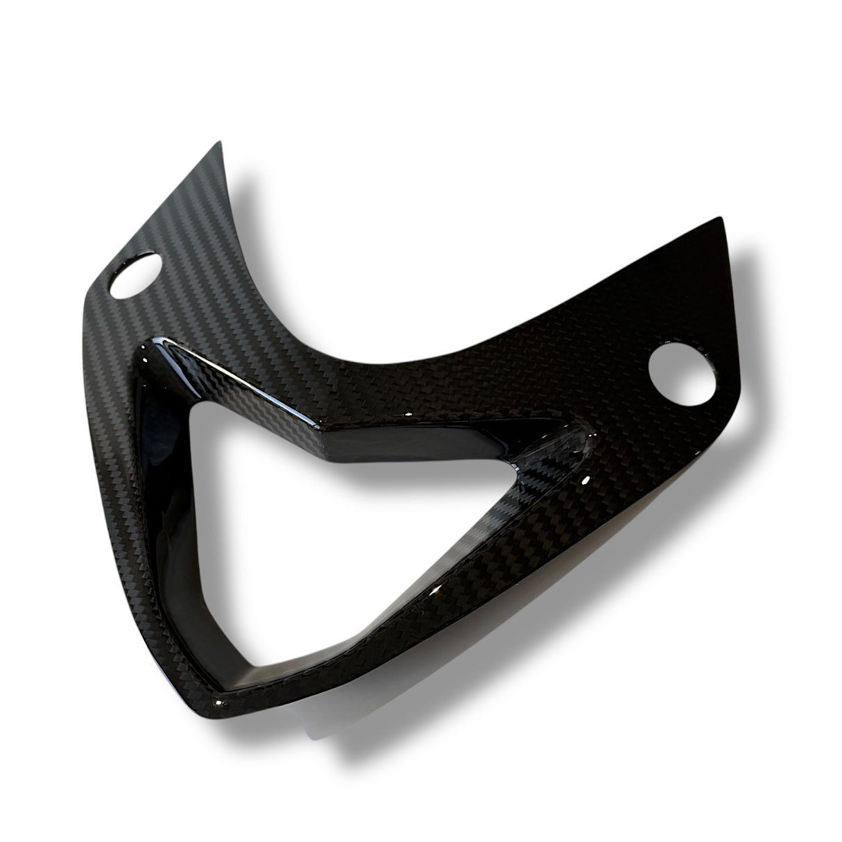 Windschild Cover Carbon BMW S1000RR 2009-2014