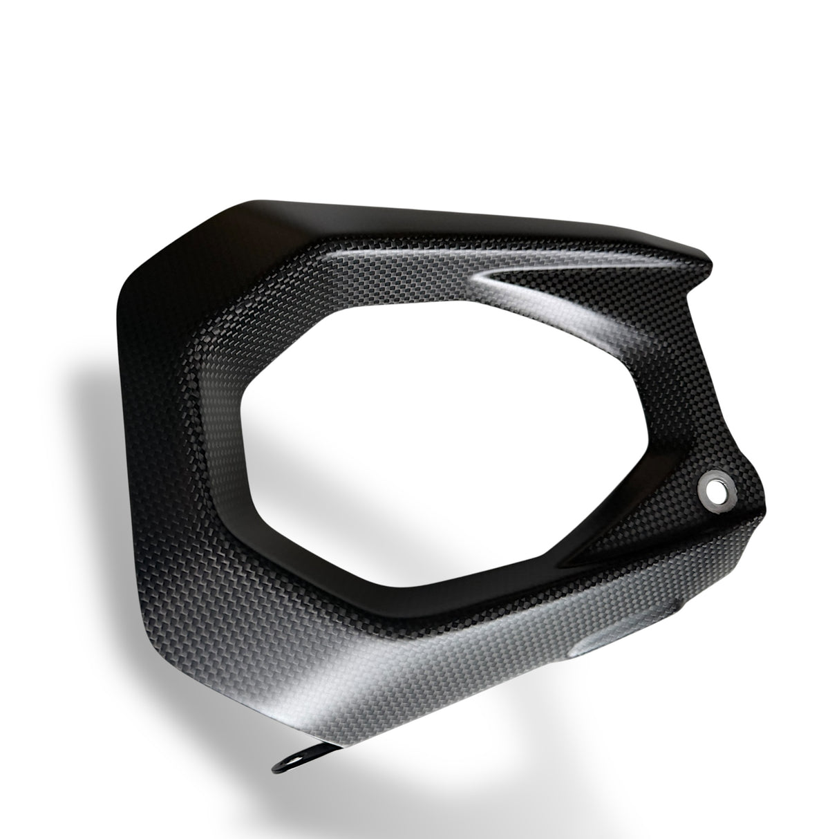 Schwingenschoner Carbon Ducati Panigale V4 Streetfighter V4 2025+ Links