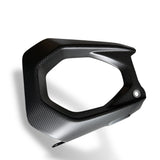 Schwingenschoner Carbon Ducati Panigale V4 Streetfighter V4 2025+ Links