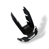 Verkleidungsmittelteil Frontverkleidung Lufteinlass Carbon BMW S1000RR 2025+