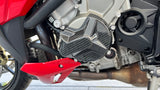 Motordeckelschutz Engine Protection Carbon BMW S1000RR S1000XR S1000R 2015-2018