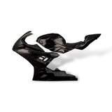 Rennverkleidung BMW S1000RR M1000RR 2019-2022