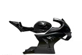 Seitenverkleidung Set BMW M1000RR 2023+
