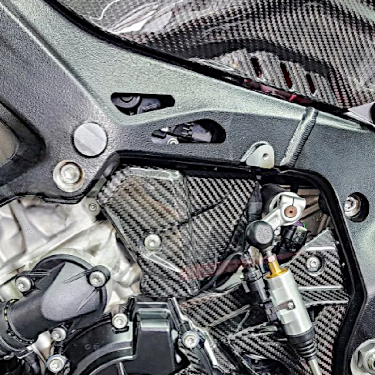 Kabelabdeckung Sprocket Cover Carbon BMW S1000RR M1000RR 2019+