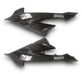 Seitenverkleidung Carbon Side Panel BMW S1000RR ab 2023 K67 paar