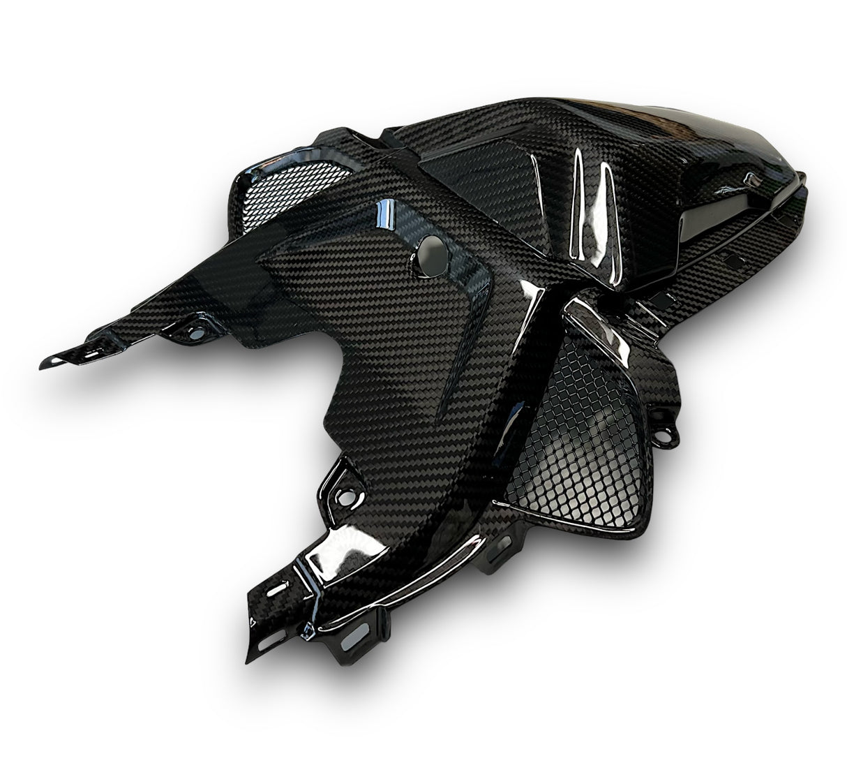 Soziusabdeckung / Tail Fairing Carbon BMW S1000RR M1000RR 2019-2022