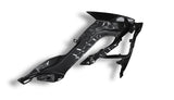 Wasserkühlerverkleidung Seitenverkleidung Carbon BMW S1000XR 2014-2019