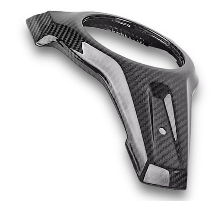Tankabdeckung Tankhaube Carbon BMW S1000XR 2014-2019