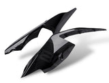 Heckseitenverkleidung Carbon BMW S1000RR M1000RR 2019+