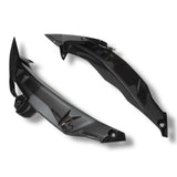 Kühlerabdeckung Seitenverkleidung Carbon BMW S1000R 2017-2020