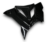 Ritzelabdeckung Sprocket Cover Carbon BMW S1000RR M1000RR S1000R 2019-2024