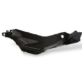 Tankseitenverkleidung Seitenverkleidung Carbon BMW S1000XR 2020-2023