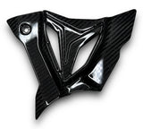 Ritzelabdeckung Sprocket Cover Carbon BMW S1000RR M1000RR S1000R 2019-2024