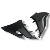 Bugverkleidung Carbon Ducati Streetfigther V4 2020-2024 OEM Design