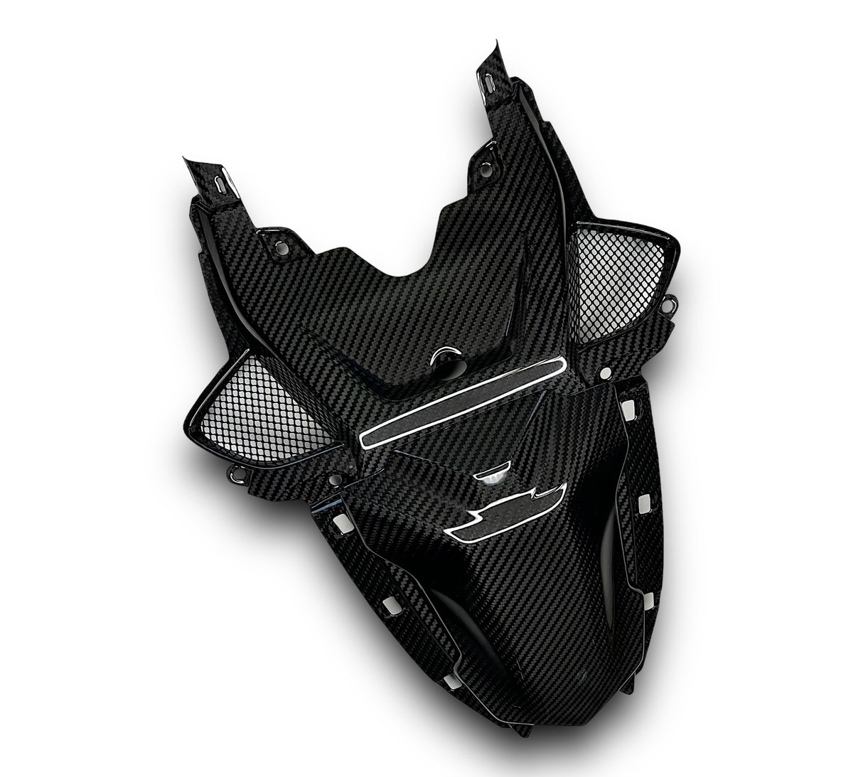 Soziusabdeckung / Tail Fairing Carbon BMW S1000RR M1000RR 2019-2022