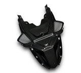 Soziusabdeckung / Tail Fairing Carbon BMW S1000RR M1000RR 2019-2022
