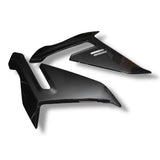 Seitenverkleidung Carbon BMW S1000R M1000R 2021+