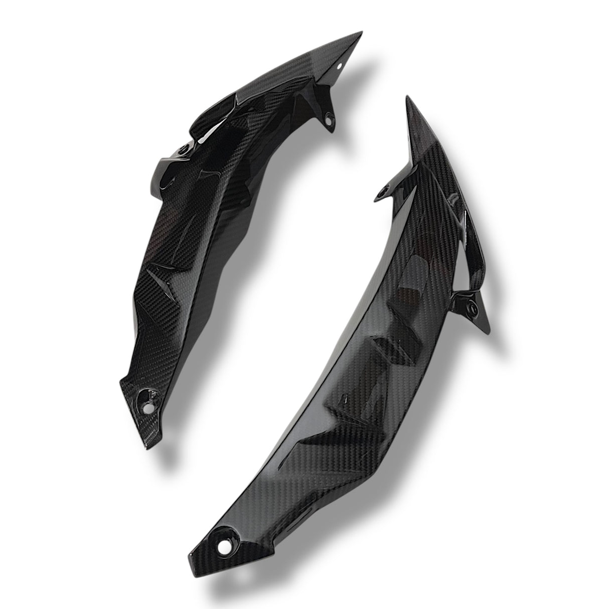 Kühlerabdeckung Seitenverkleidung Carbon BMW S1000R 2017-2020
