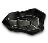 Soziusabdeckung / Tail Fairing Carbon BMW S1000R M1000R 2021+