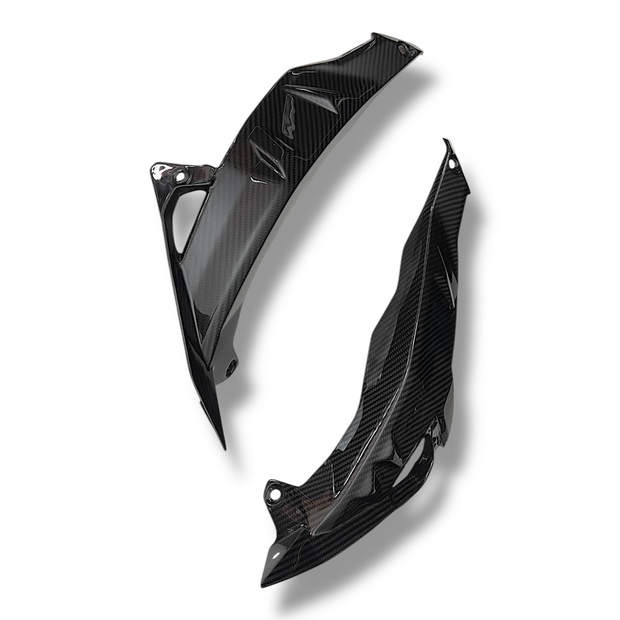 Kühlerabdeckung Seitenverkleidung Carbon BMW S1000R 2017-2020