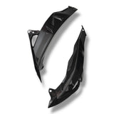 Kühlerabdeckung Seitenverkleidung Carbon BMW S1000R 2017-2020