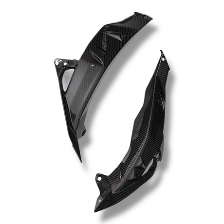 Kühlerabdeckung Seitenverkleidung Carbon BMW S1000R 2017-2020