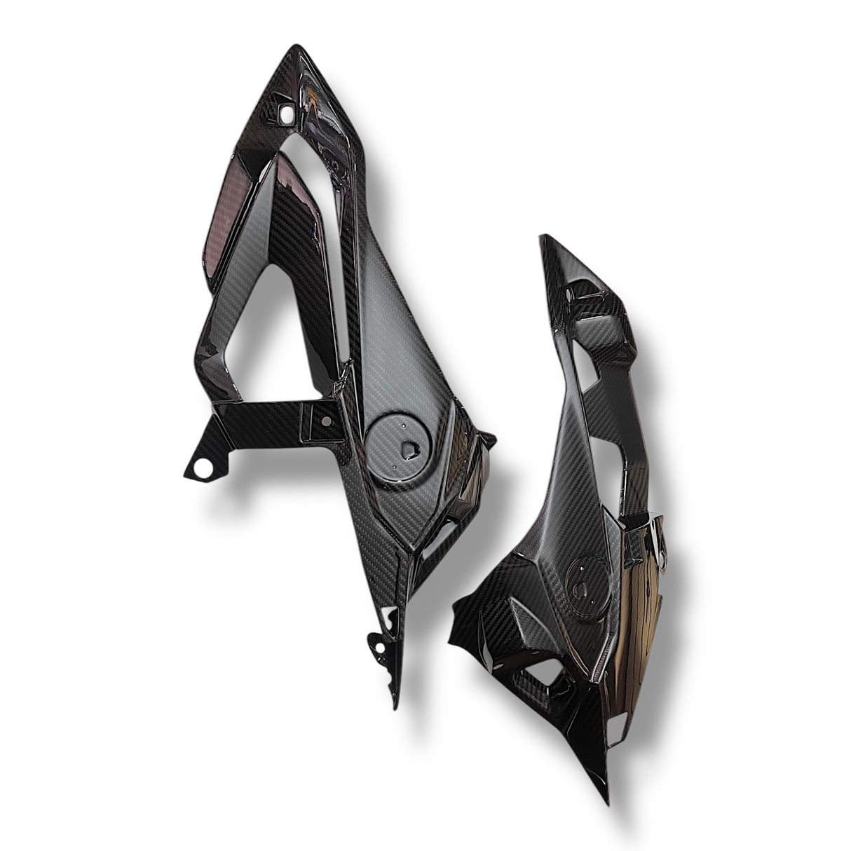Seitenverkleidung Plakettenträger Carbon BMW S1000R 2017-2020