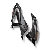 Seitenverkleidung Plakettenträger Carbon BMW S1000R 2017-2020