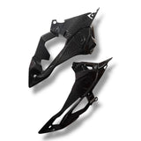 Seitenverkleidung Plakettenträger Carbon BMW S1000R 2017-2020