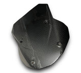 Verkleidungsscheibe Windschild Carbon BMW S1000XR 2020+