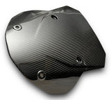 Verkleidungsscheibe Windschild Carbon BMW S1000XR 2020+