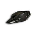 Bugverkleidung Bugspoiler Carbon BMW S1000XR 2015-2019