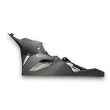 Bugverkleidung Bugspoiler Carbon Belly Pen BMW S1000RR 2019-2025 K67