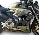 Kühlerverkleidung Carbon Ducati Streetfighter V2